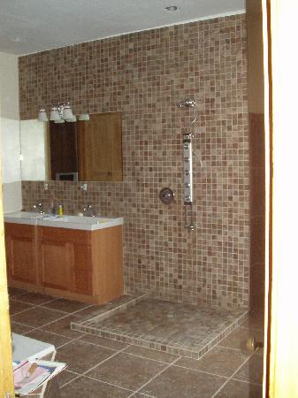 basement remodeling of Edison Park Illinois home remodeling and renovation project picture